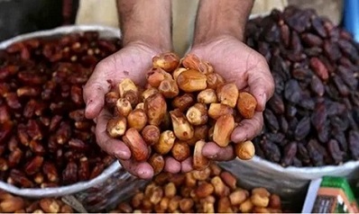 تصویر 1 از خرید و قیمت خرما شاهانی جهرم + فروش عمده